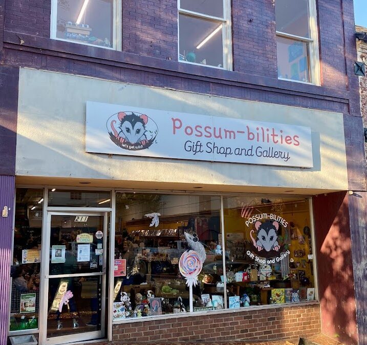 Possum-Bilities