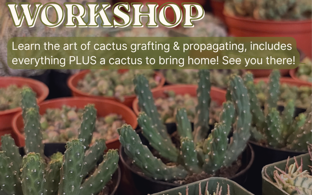 Cactus Grafting & Propagation Workshop