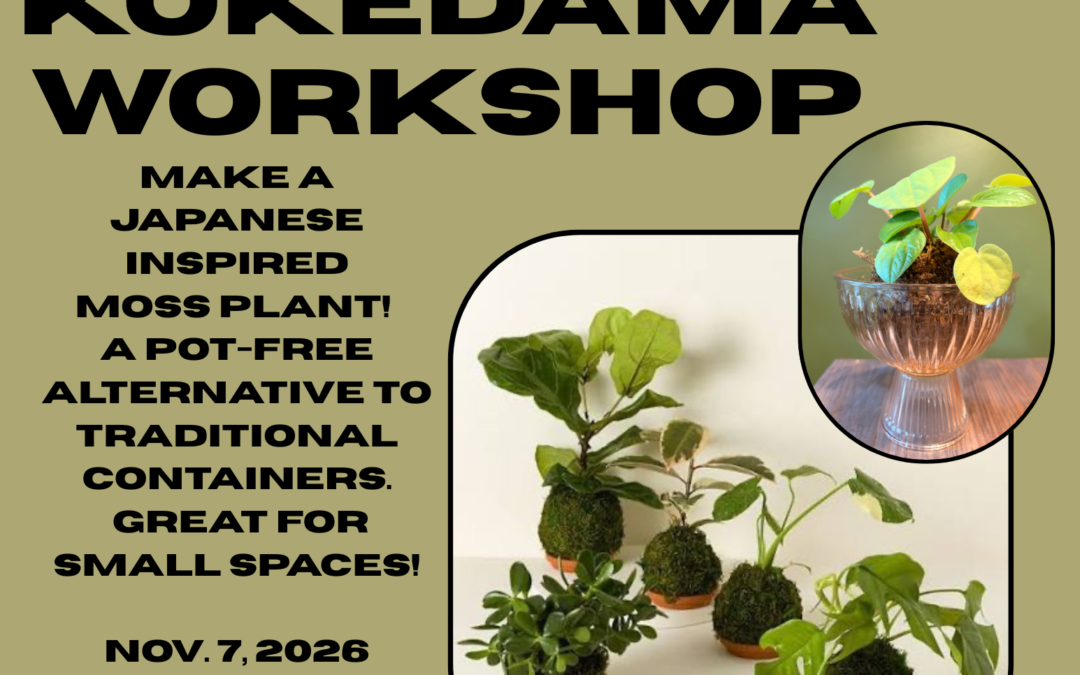 Kokedama Workshop